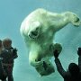 IMG_20250611_071125