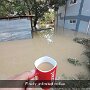 IMG_20250612_070530