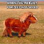 IMG_20250612_070554