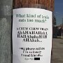IMG_20250612_070629
