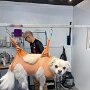IMG_20250612_070847