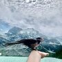 IMG_20250711_070317