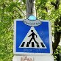 IMG_20250706_095102