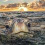 IMG_20250706_095121
