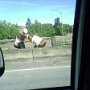 IMG_20250706_095141
