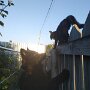 IMG_20250706_095146