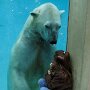 IMG_20250706_095210