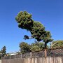 IMG_20250706_095216