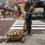 IMG_20250706_095238