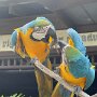 IMG_20250706_095243