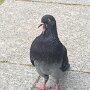IMG_20250708_065712