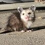 IMG_20250708_065921
