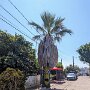 IMG_20250708_065927