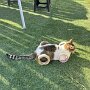 IMG_20250709_065646