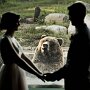 IMG_20250709_065651