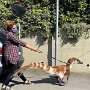 IMG_20250906_063322