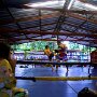 IMG_20250906_063453