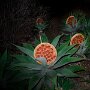 IMG_20250912_070201