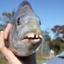 IMG_20251020_064617