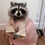 IMG_20251020_064647