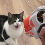 IMG_20251020_064659