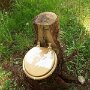 IMG_20251020_064733