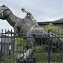 IMG_20251021_064529