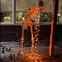 IMG_20251021_064556