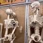 IMG_20251021_064634