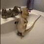 IMG_20251021_064818
