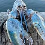 IMG_20251019_092327