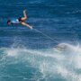 IMG_20250301_091431
