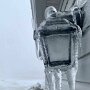 IMG_20250303_073344