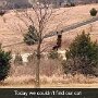 IMG_20250304_072446