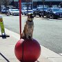 IMG_20250304_072658