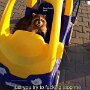 IMG_20250306_073403