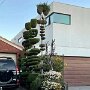 IMG_20250306_073913