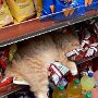 IMG_20250307_073726