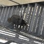 IMG_20250307_073806