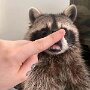 IMG_20250310_072445