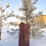 IMG_20250310_072505