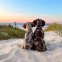 IMG_20250310_072812
