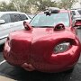 IMG_20250312_072603