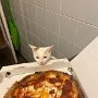 IMG_20250314_073642