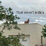 IMG_20250314_074025