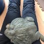 IMG_20250314_074042