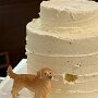 IMG_20250316_091448