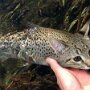 IMG_20250316_091549