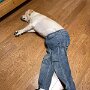IMG_20250318_073412