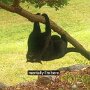 IMG_20250321_073906